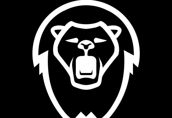 Lionsize