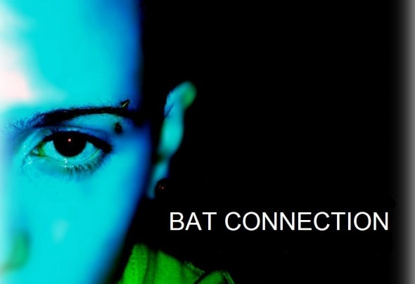 Bat Connection