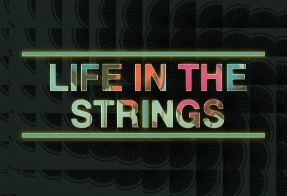 Life in the Strings