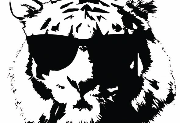 Cool Tigers