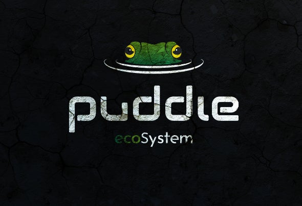 Puddle EcoSystem