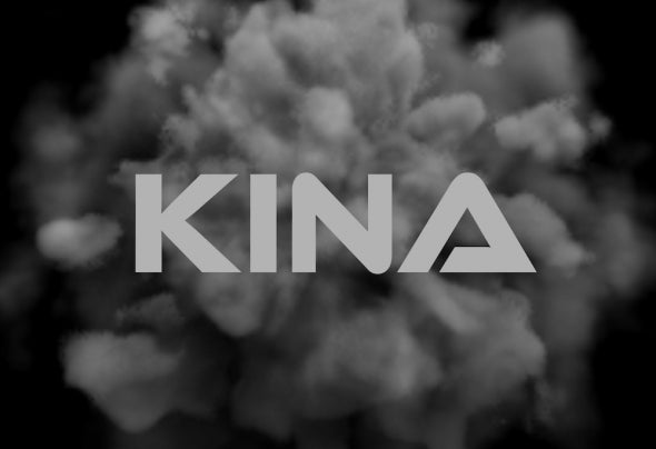 KINA NZ