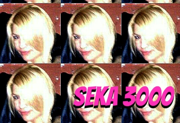 Seka 3000