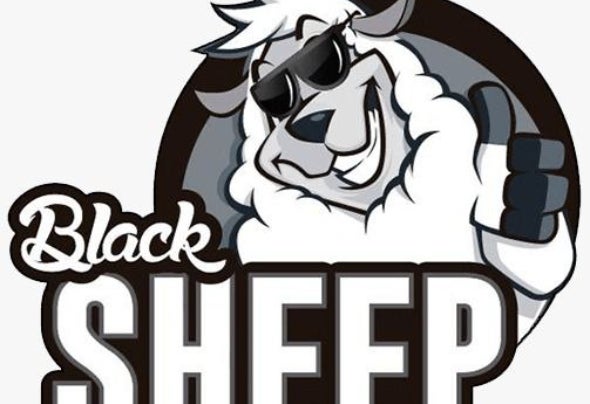 Dr Black Sheep