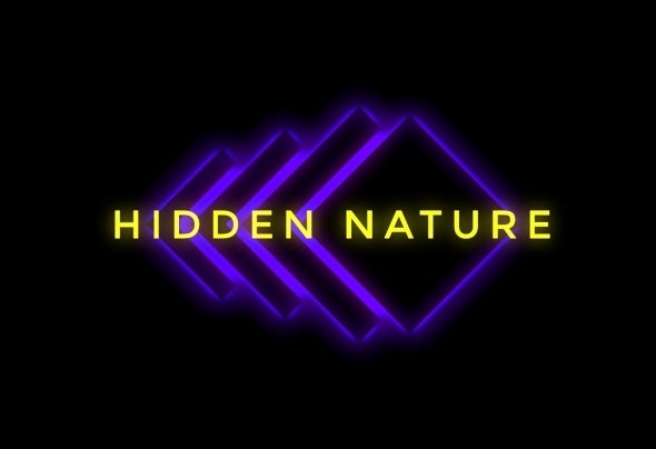 Hidden Nature