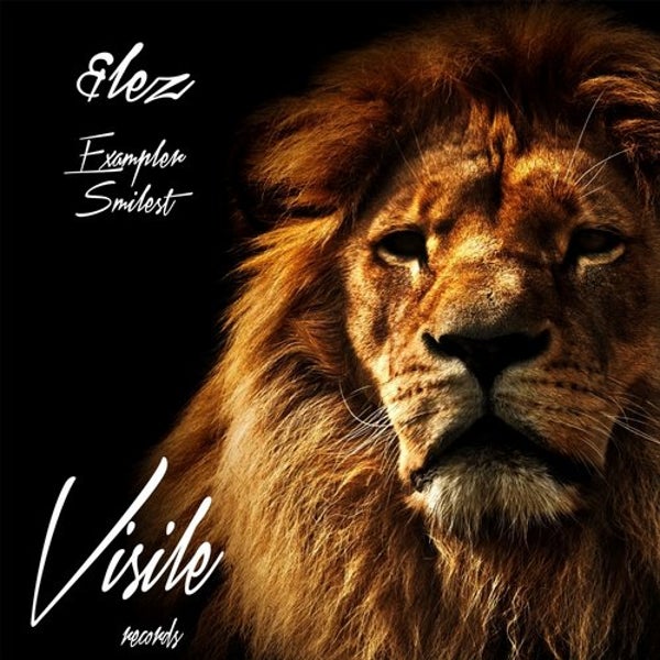 Exampler — cover
