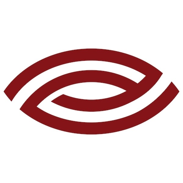 Vision Ekstase logo