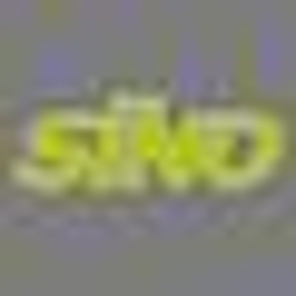 SINO logo