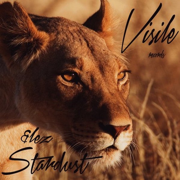 Stardust — cover