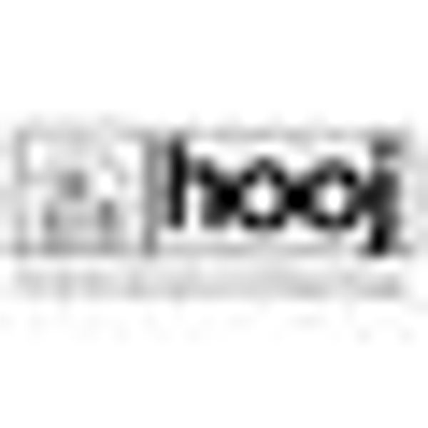 Hooj Choons logo