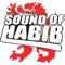 Sound Of Habib