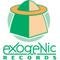 Exogenic Records