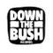 Down The Bush Records