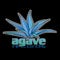 Agave