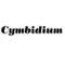 Cymbidium Records
