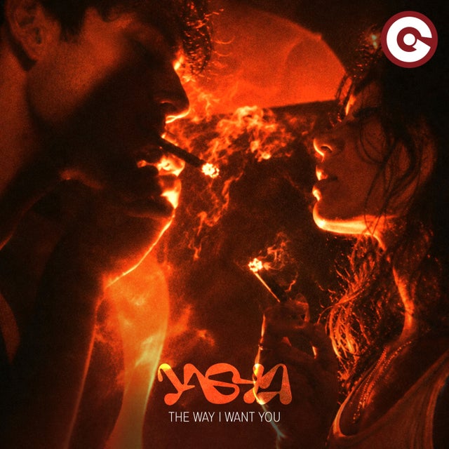The Way I Want You - Extended Mix album art