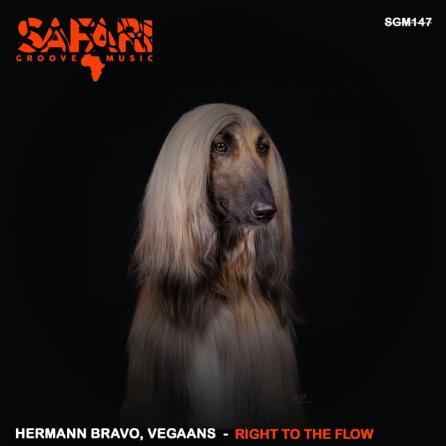 Right To The Flow album art