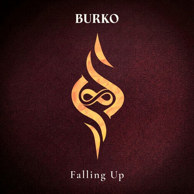 Falling Up - Extended Mix album art
