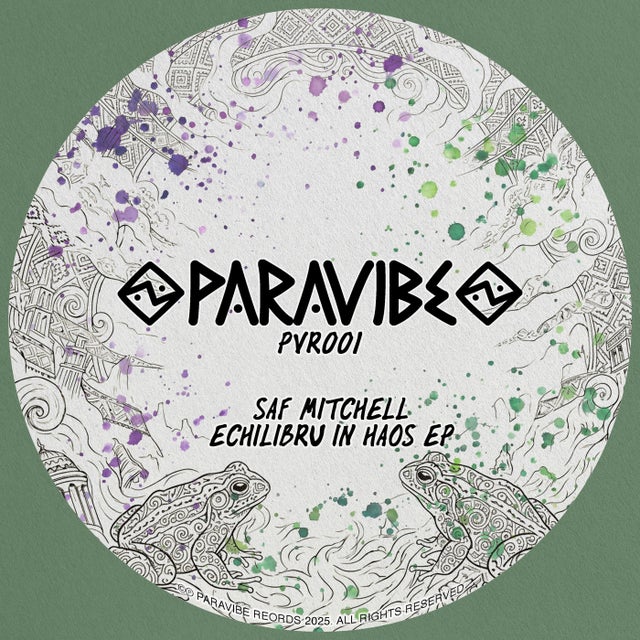 Echilibru In Haos album art
