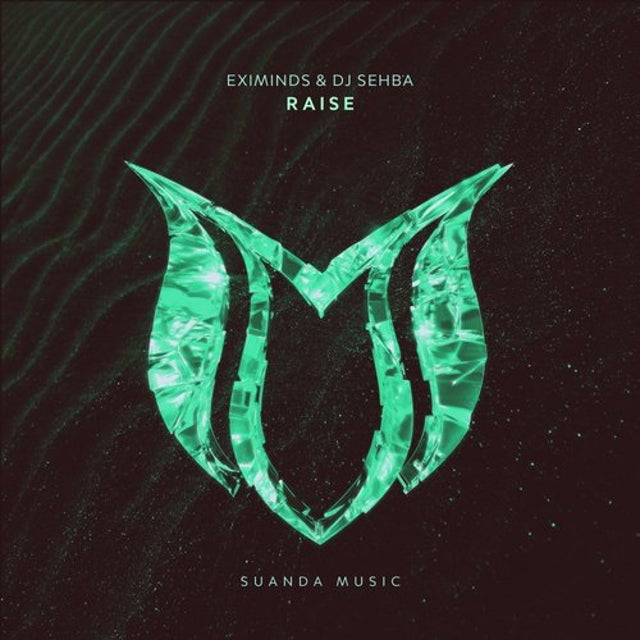 Raise - Extended Mix album art