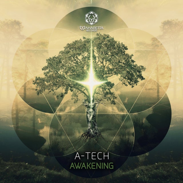 Awakening album art