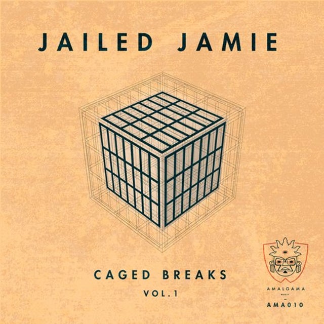Flute Song - Jailed Jamie album art