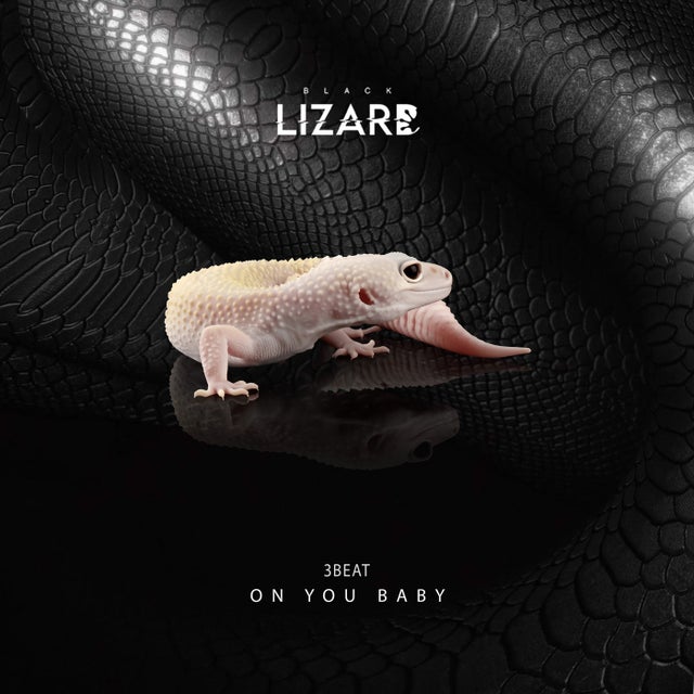 On You Baby album art