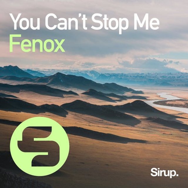 You Can't Stop Me - Original Club Mix album art
