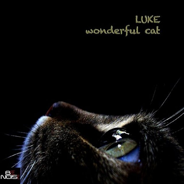 Wonderful Cat - Extended Version album art