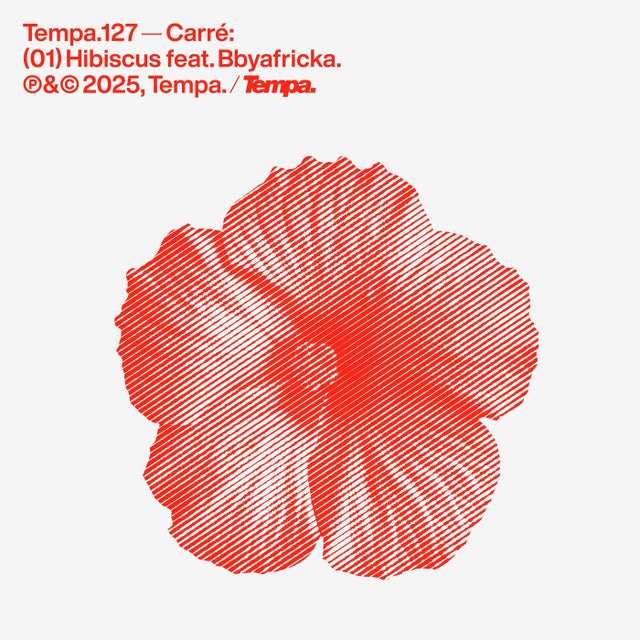 Hibiscus album art