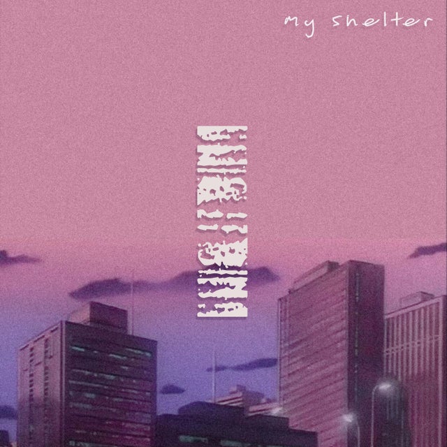 my shelter album art