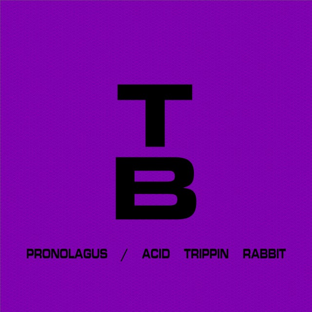 Acid Trippin Rabbit album art