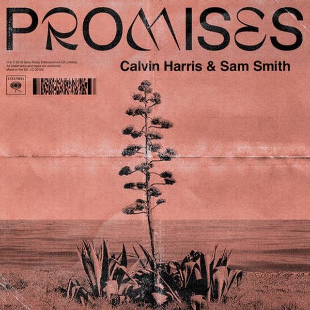 Promises album art
