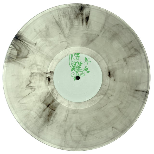 Echoes album art
