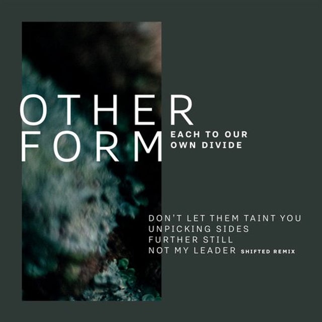 Not My Leader - Shifted Remix album art