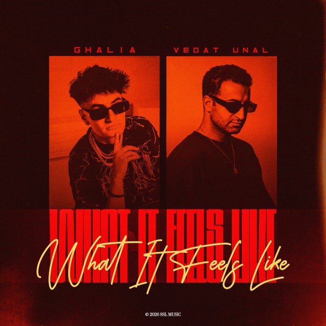 What It Feels Like - Extended Mix album art
