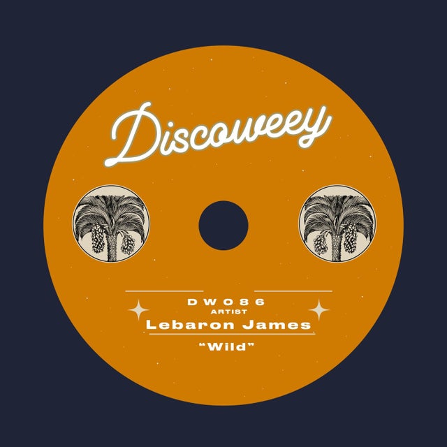 Wild album art