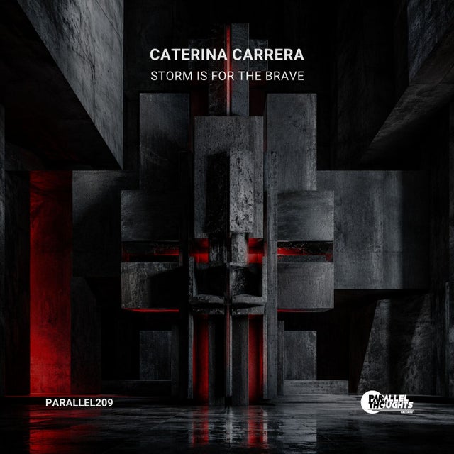 Storm Is for the Brave album art