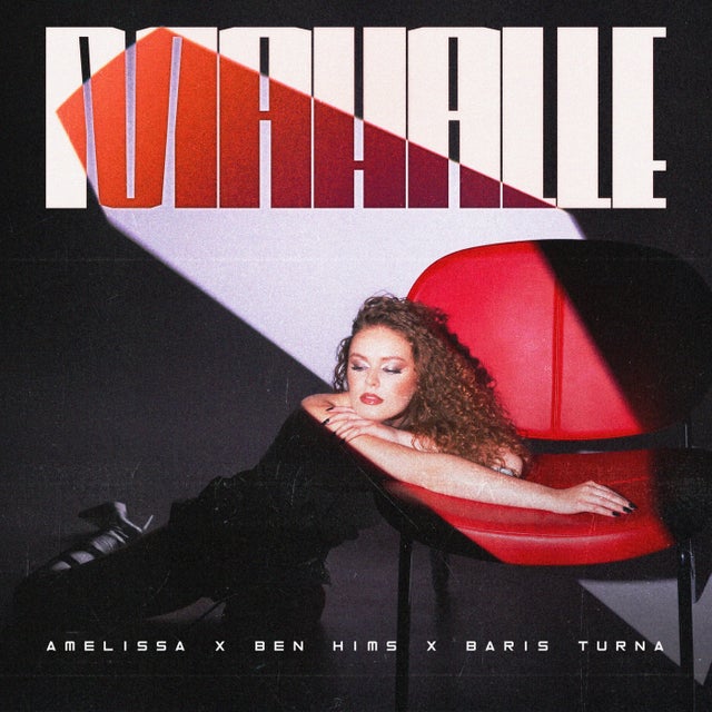 Mahalle album art