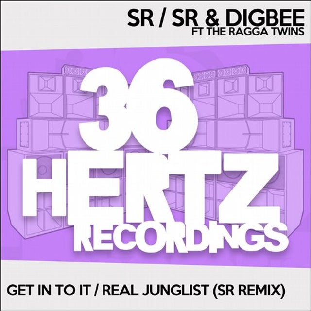 Real Junglist - SR Remix album art