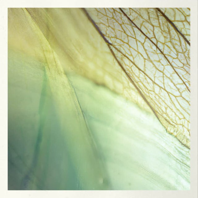 Leave Your Body album art