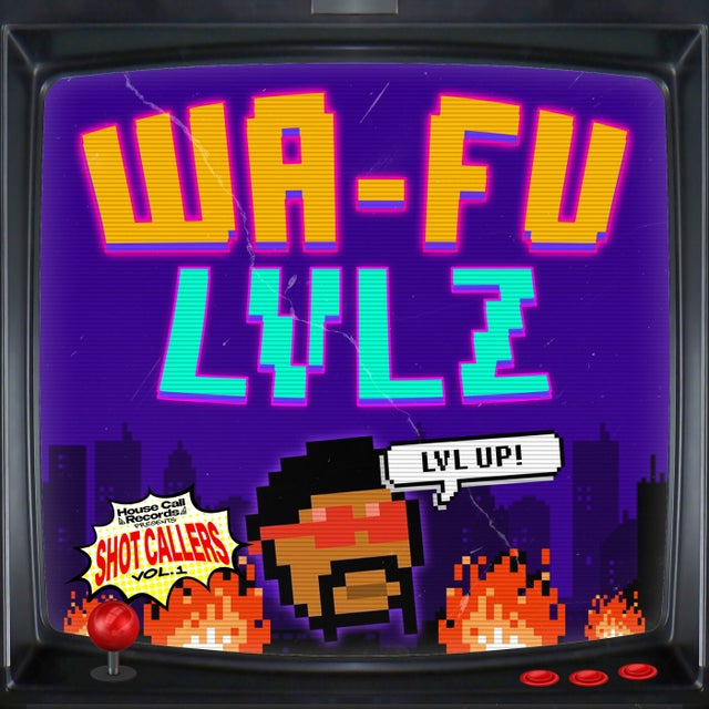 LVLZ album art