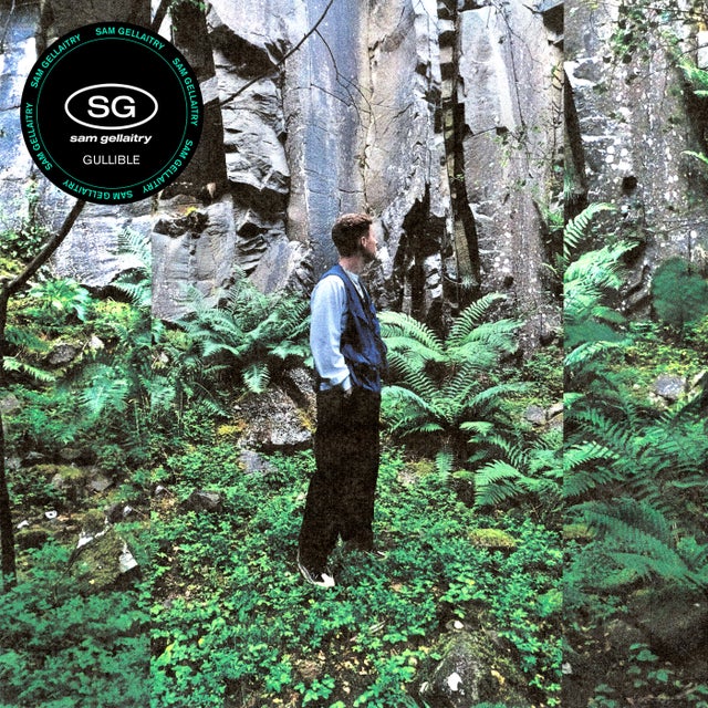 GULLIBLE album art