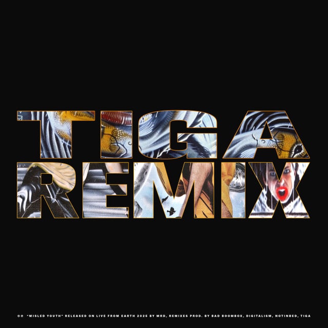 i fall apart - Tiga Remix album art