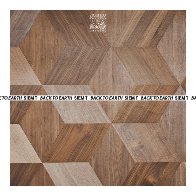 Absence of gravity album art