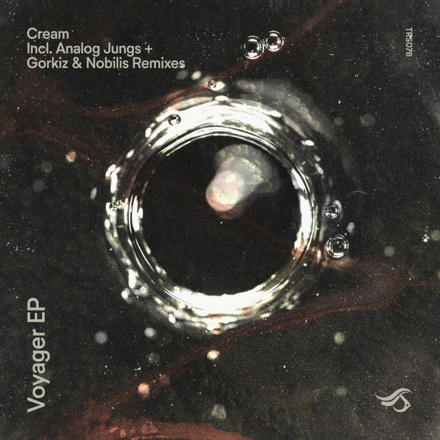 Voyager album art
