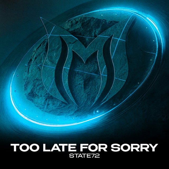 Too Late for Sorry - Extended Mix album art