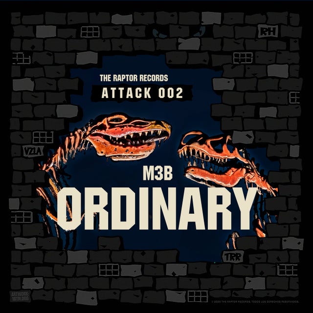 ORDINARY album art