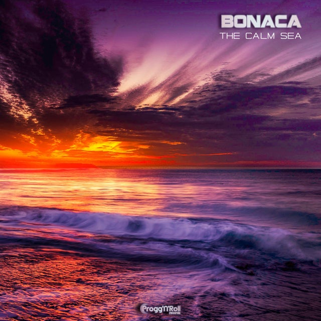 Blooming Perspective album art