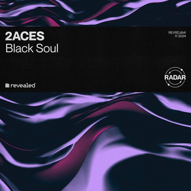 Black Soul - Extended Mix album art